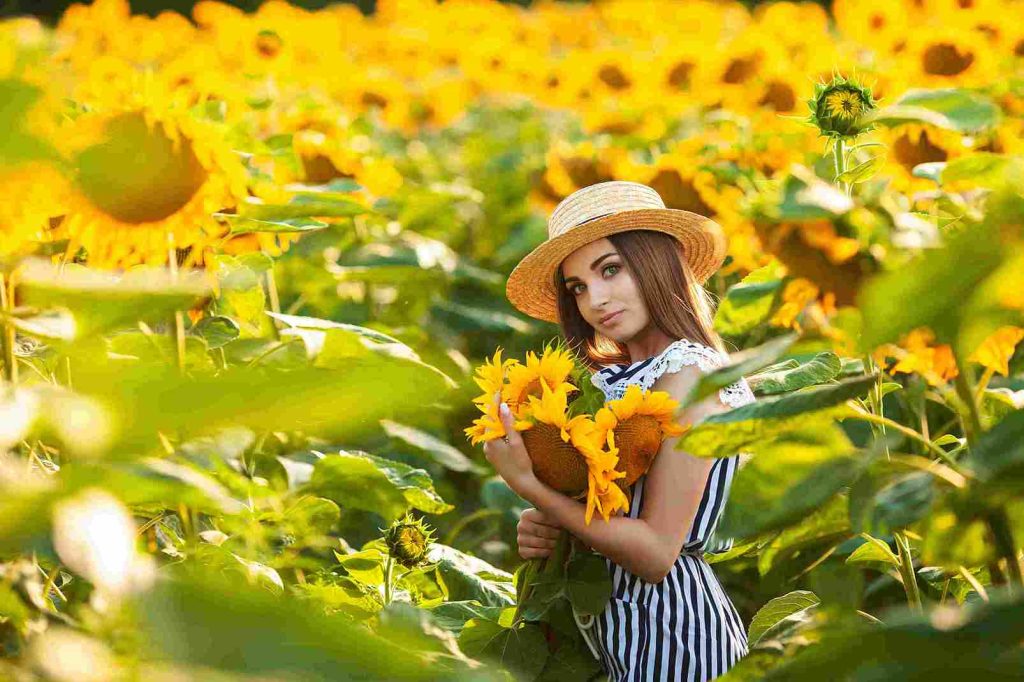 Romantic Sunflower Captions