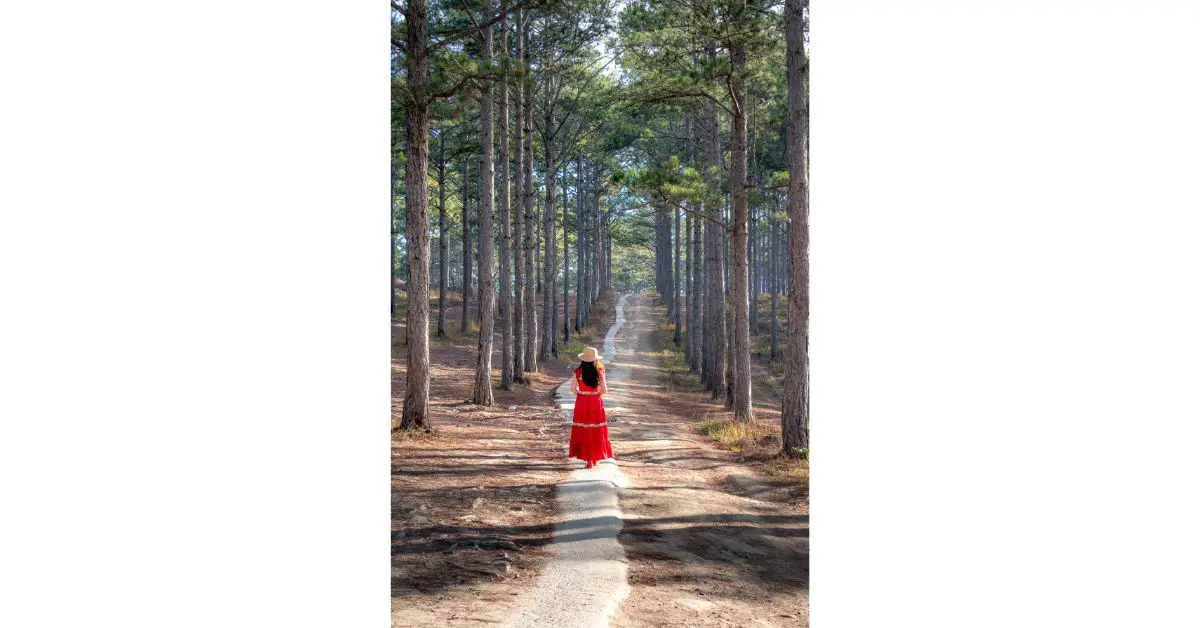 red-dress-captions-for-instagram